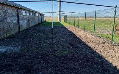 Nieuws van het opvangcentrum Fûgelspits in Moddergat